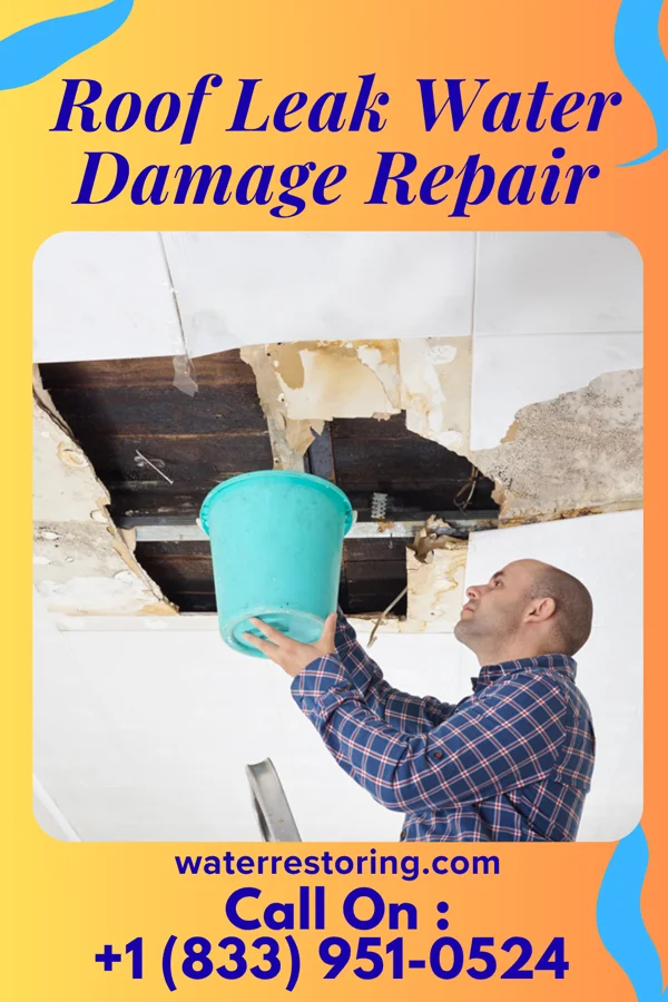Roof Leak Water Damage Repair in Lino Lakes, MN