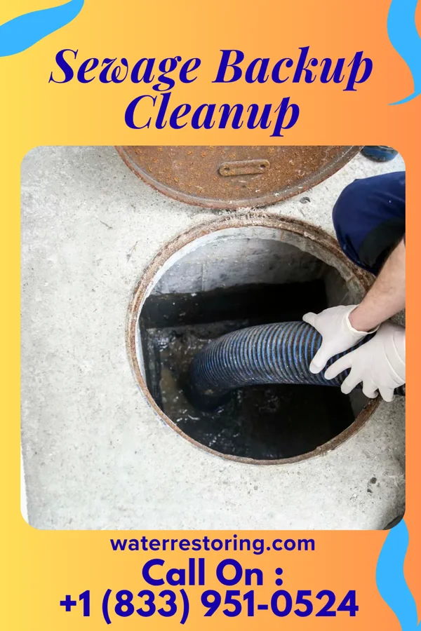 Sewage Backup Cleanup in Lino Lakes, MN